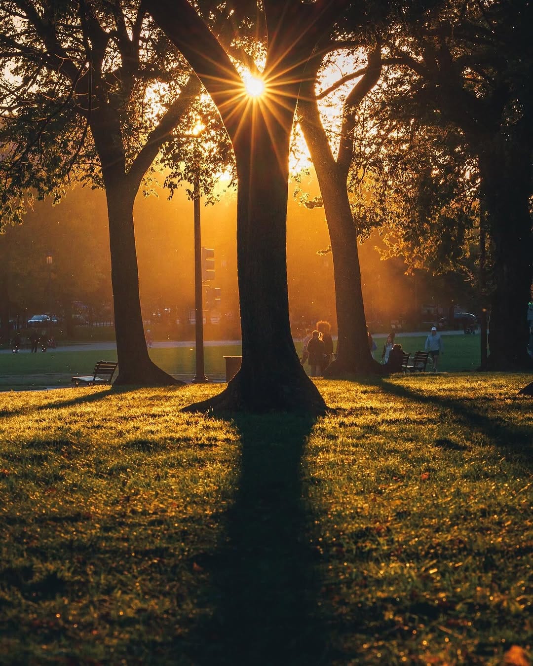 Post 3 by Brandon J | Landscape Photographer & Workshop Instructor on Instagram (carousel)