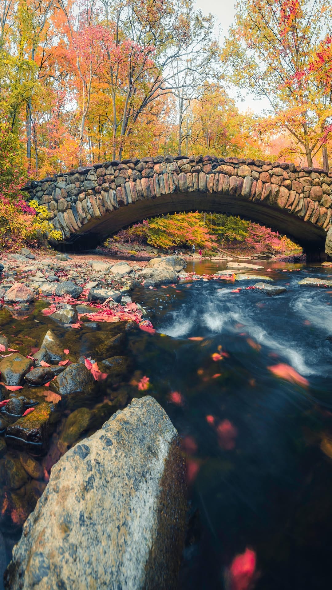 Post 1 by Brandon J | Landscape Photographer & Workshop Instructor on Instagram (video)