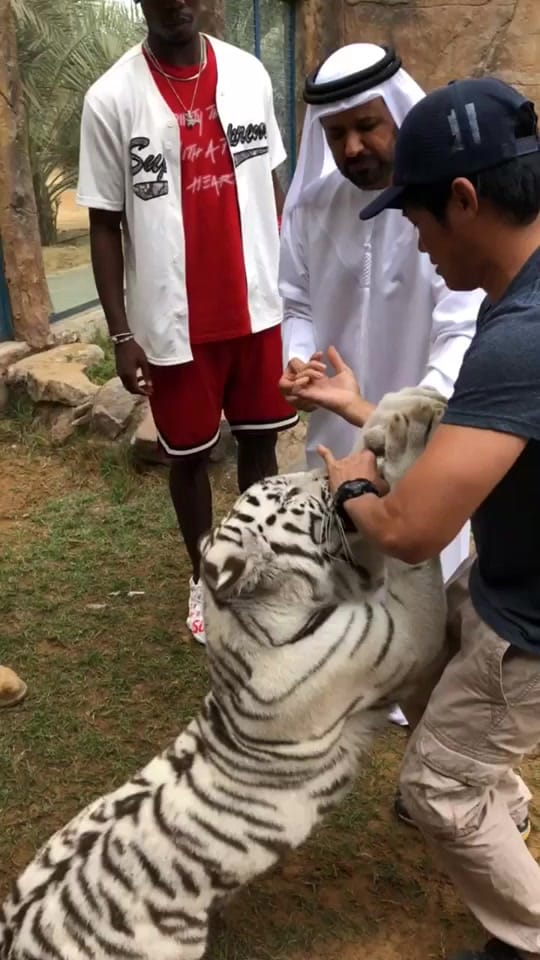 Post 9 by Raihan Hamid on TikTok (video)