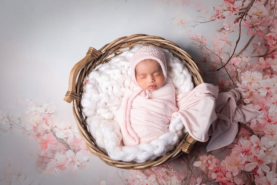 Post 3 by Sweet Melodies Photography on Instagram (image)