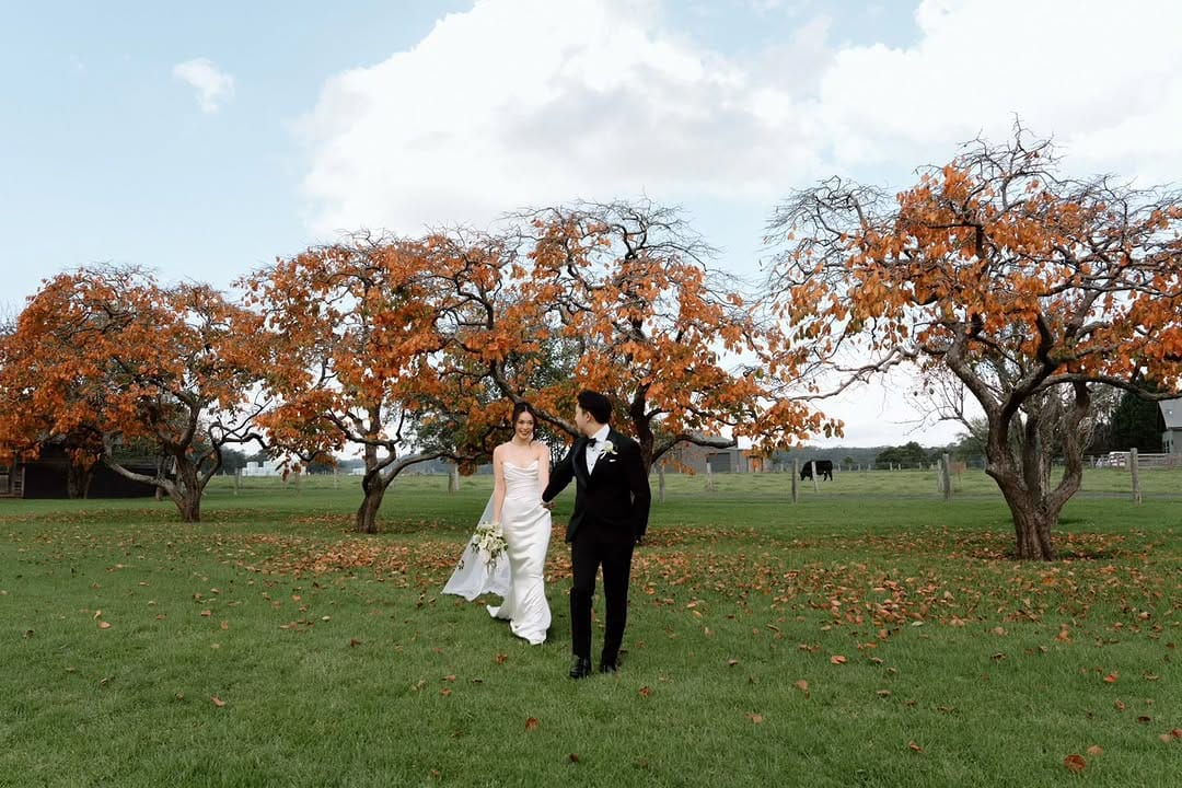 Post 3 by South Coast & Southern Highlands Wedding Photographer on Instagram (carousel)