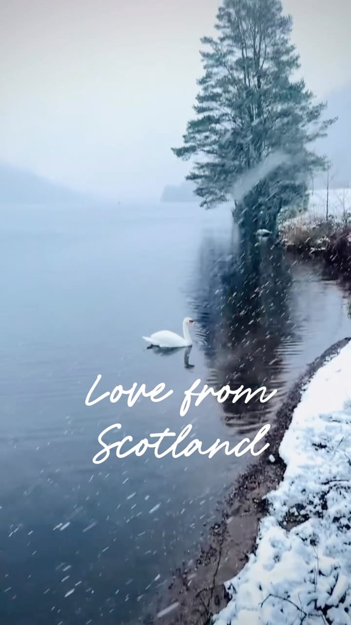 Post 5 by My Highland Photography by Pat McElhinney on Instagram (video)