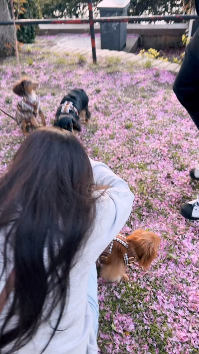 Post 3 by Emilia Lira | Glendy Madera on Instagram (video)