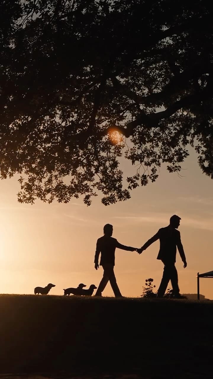 Post 9 by Luca Calvani on Instagram (video)