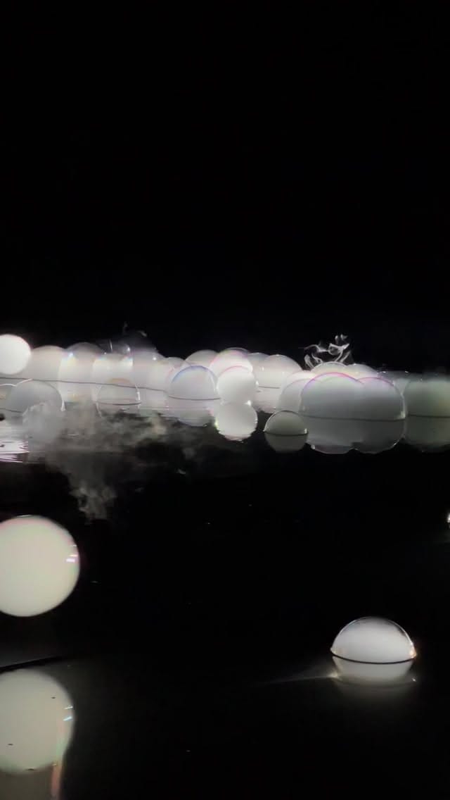 Post 4 by A.A.Murakami on Instagram (video)