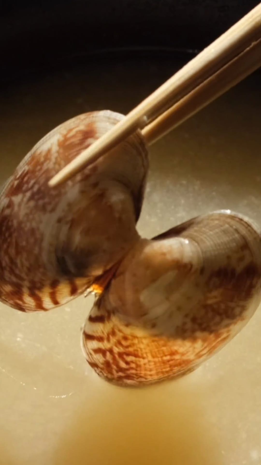 Post 9 by A.A.Murakami on Instagram (video)