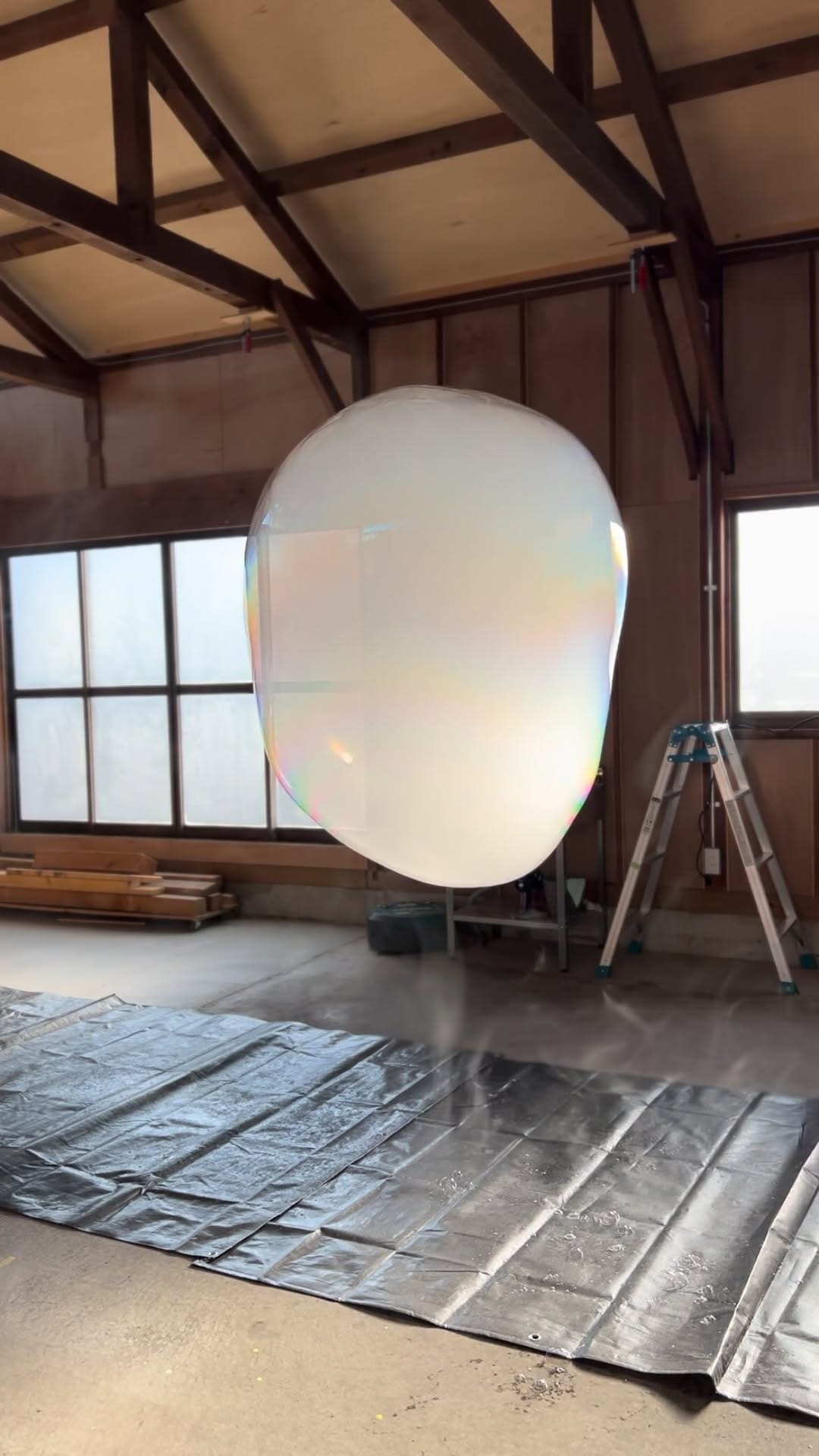 Post 10 by A.A.Murakami on Instagram (video)