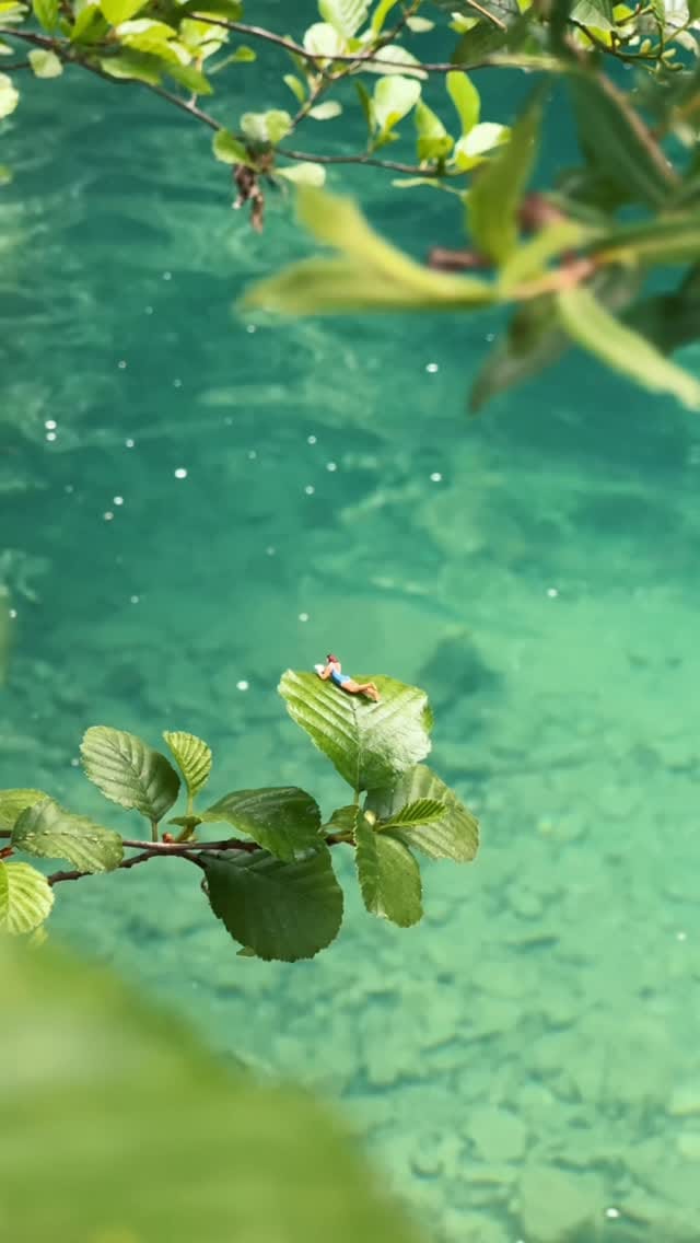 Post 1 by Erin Sullivan on Instagram (video)