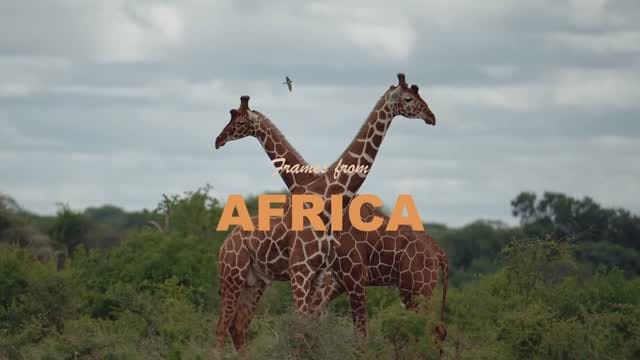 Post 2 by Uday Sunki on Instagram (video)