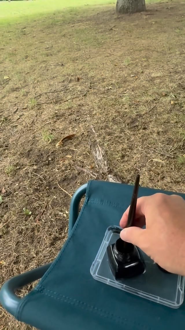 Post 5 by Yves Damin on Instagram (video)