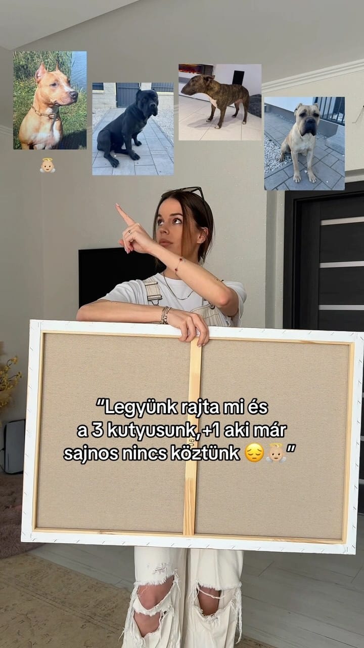 Post 10 by PETRA AMBRUS on Instagram (video)