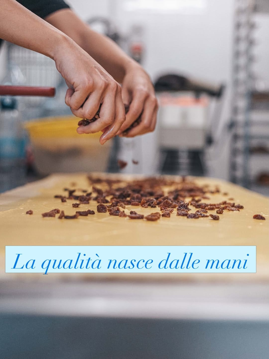 Post 2 by Il Gattaccio on Instagram (image)
