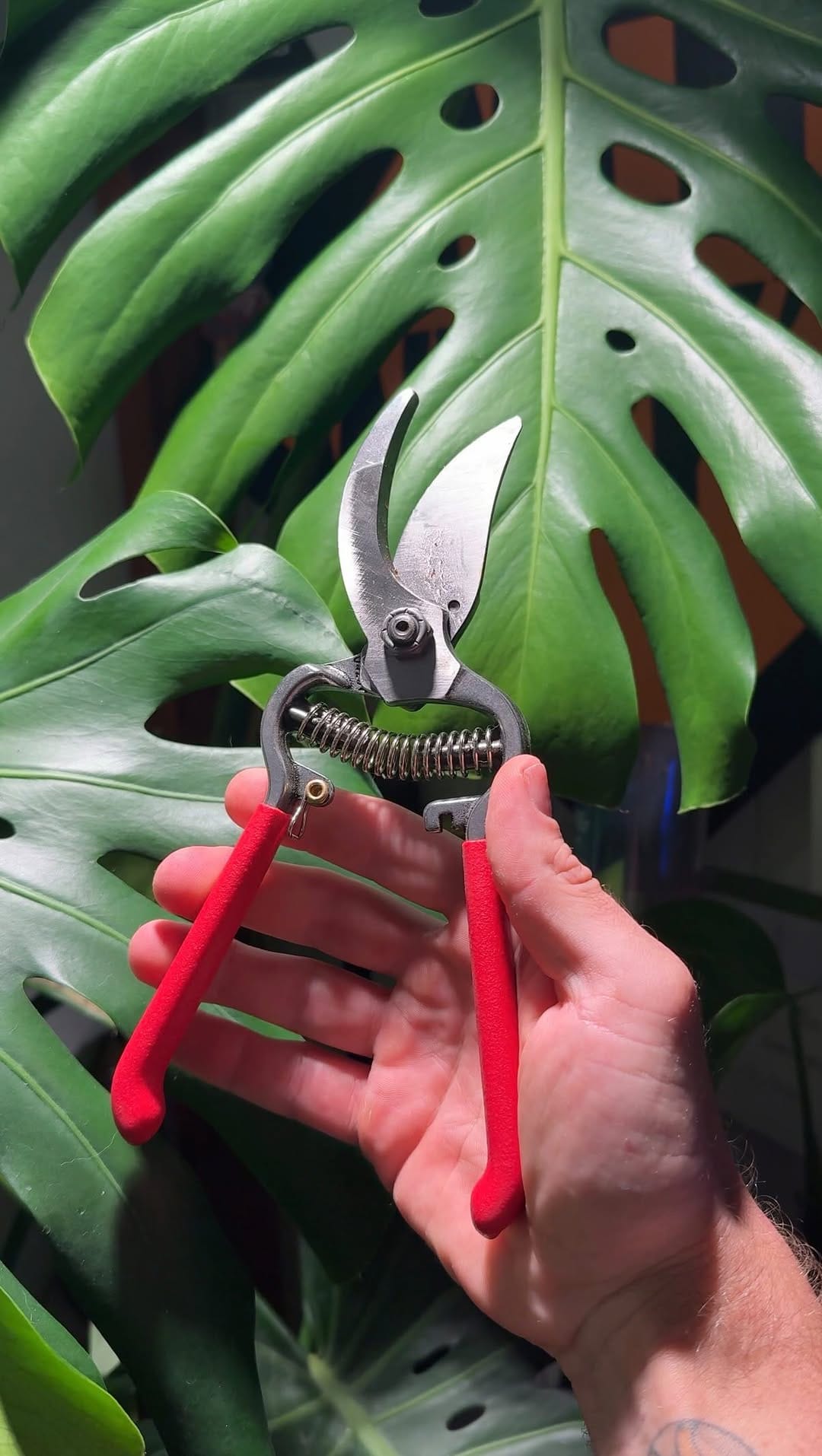 Post 4 by Corona Tools on Instagram (video)