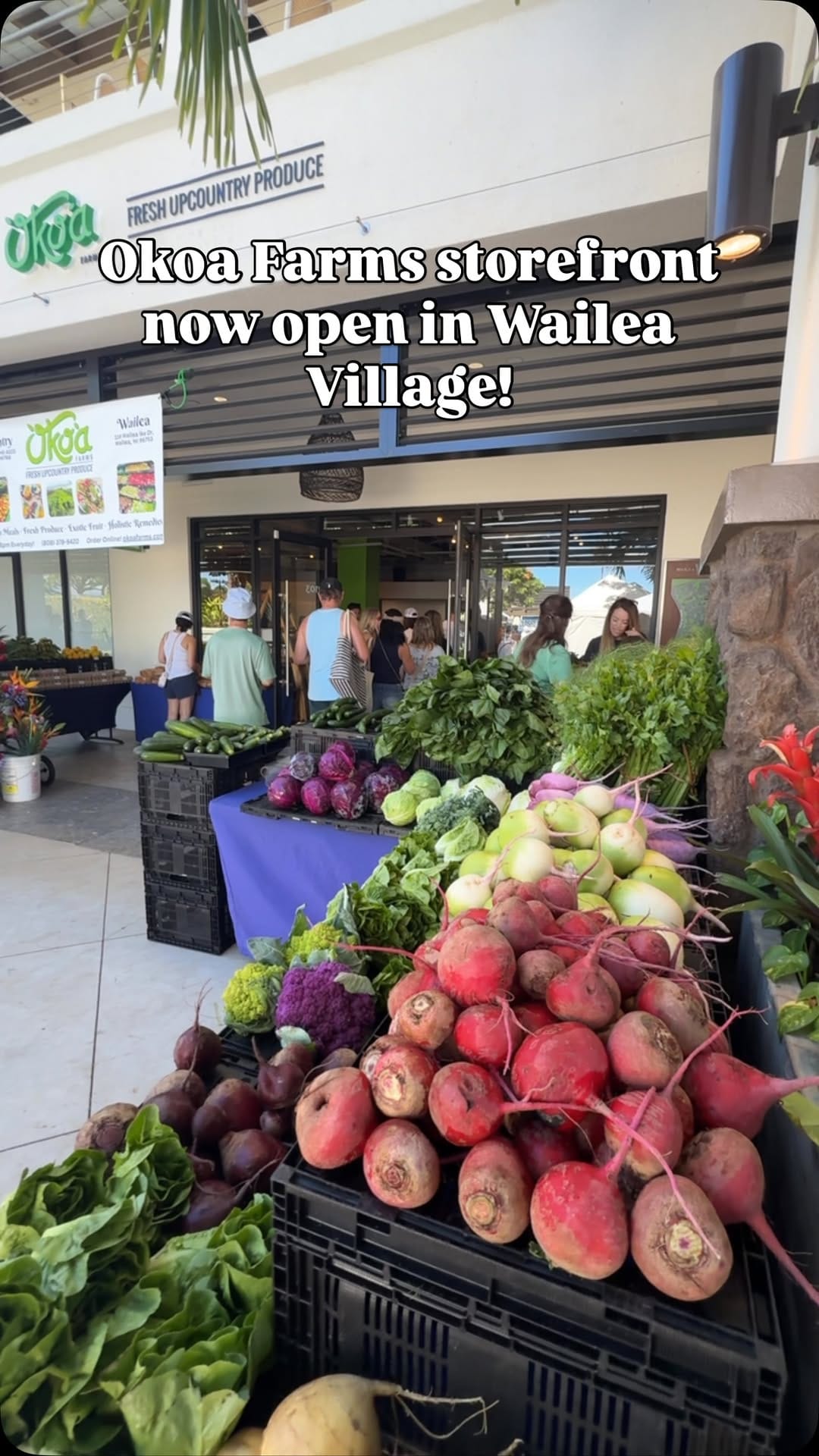 Post 1 by Wailea Village on Instagram (video)