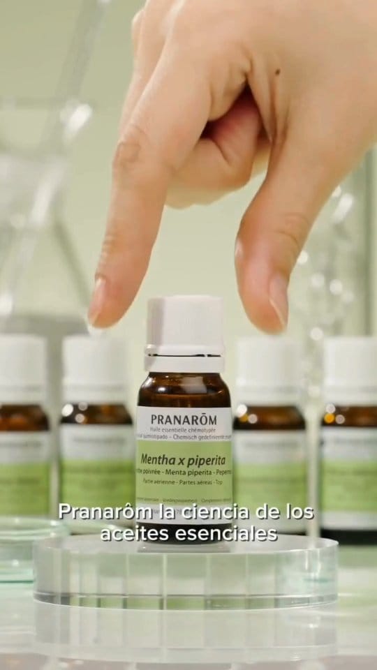 Post 2 by Bienverde 🍃 on Instagram (video)