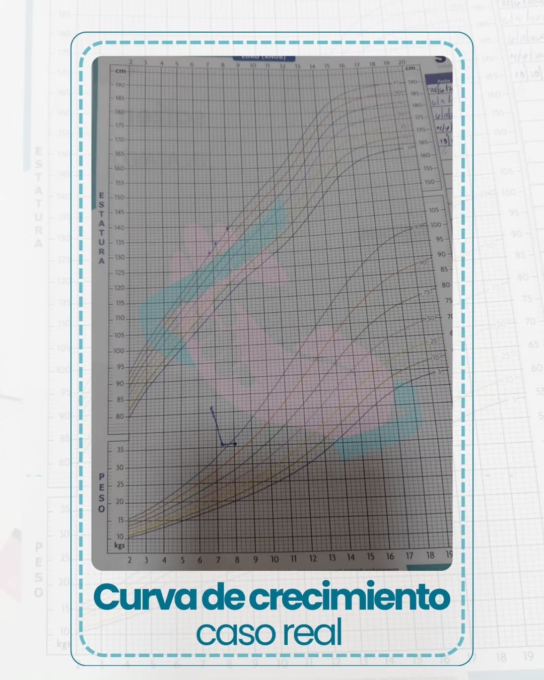 Post 3 by Mariella Cedano Nuñez on Instagram (image)