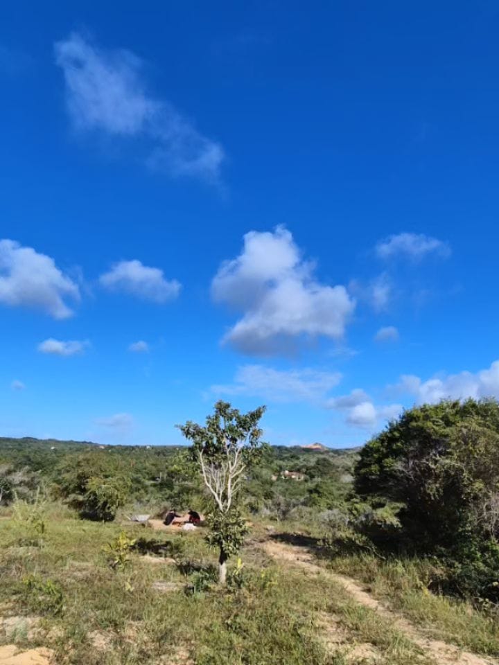 Post 2 by Ny Passos- Naturoterapeuta e Enfermeira on Instagram (carousel)