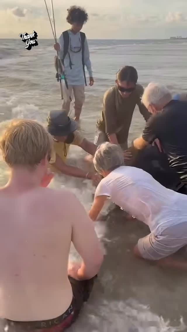 Post 4 by Denise Zervos on Instagram (video)