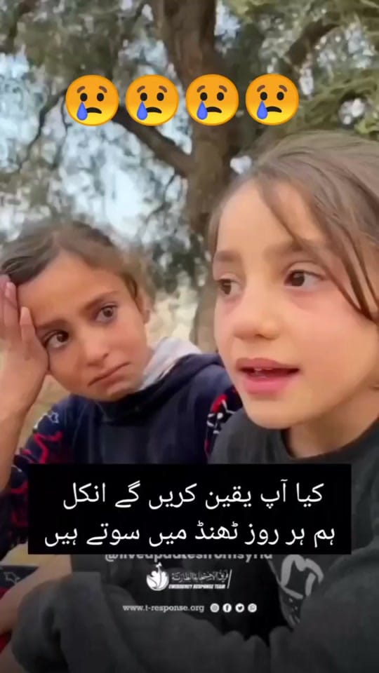 Post 2 by 🧿MR 👑 KING🧿 on TikTok (video)