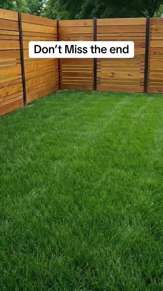Post 9 by Nin Singh uk on TikTok (video)
