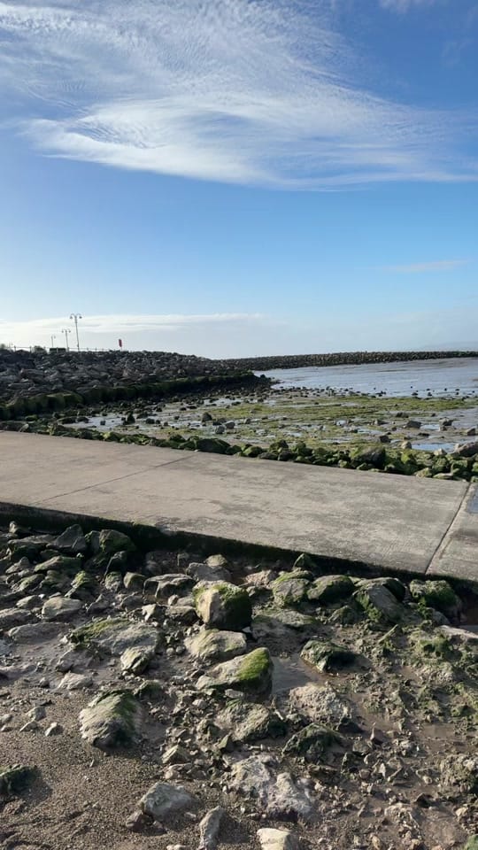 Post 7 by Nin Singh uk on TikTok (video)