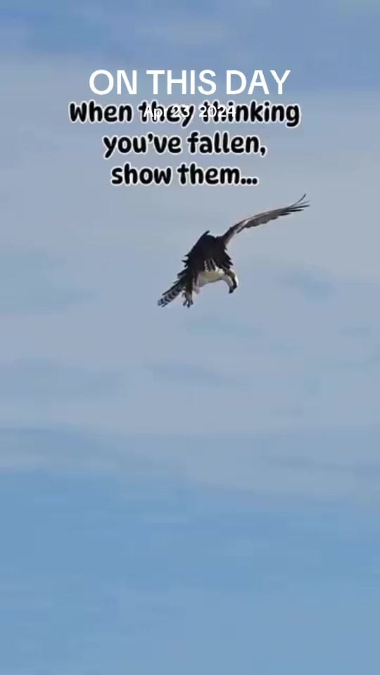 Post 4 by Mohannad Huthail on TikTok (video)