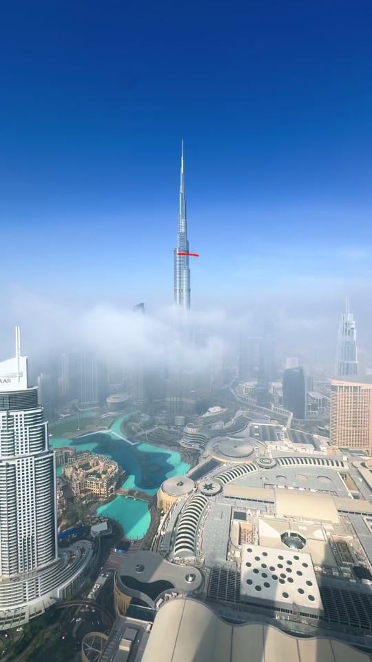 Post 7 by Ramidibo on TikTok (video)