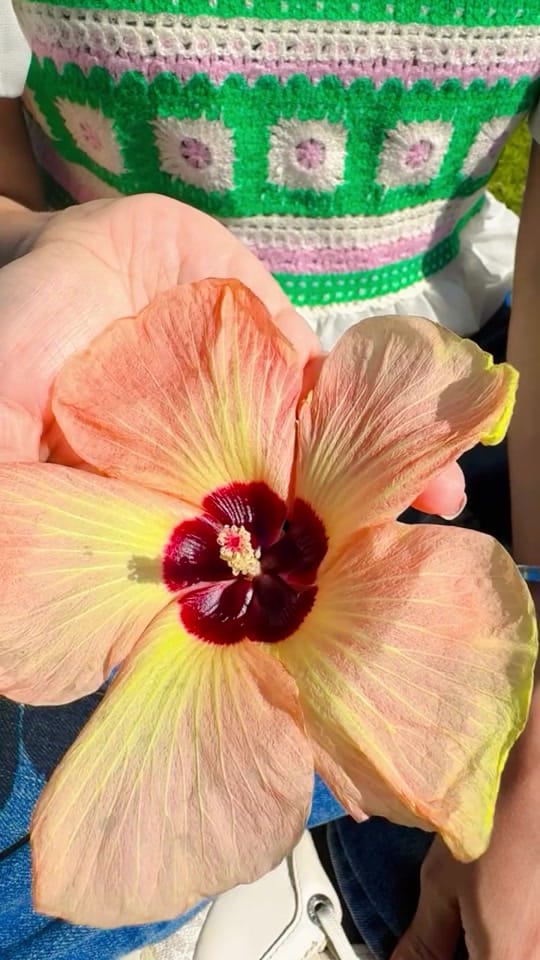 Post 10 by pam dsouza on TikTok (video)