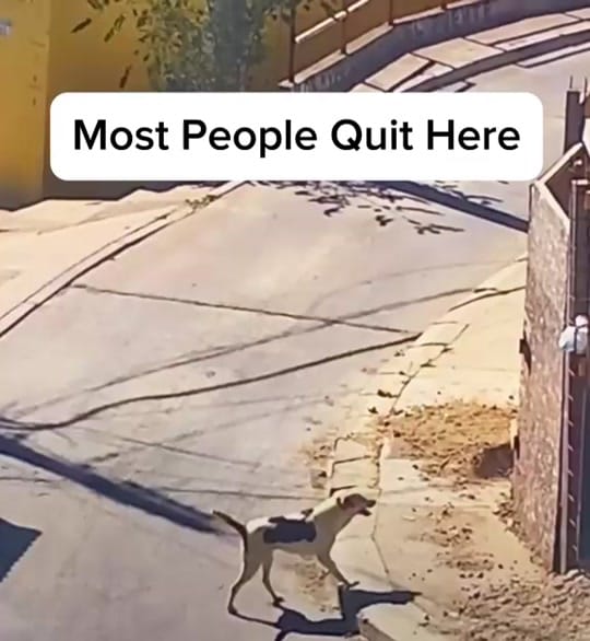Post 1 by uaeunfiltered_ on TikTok (video)
