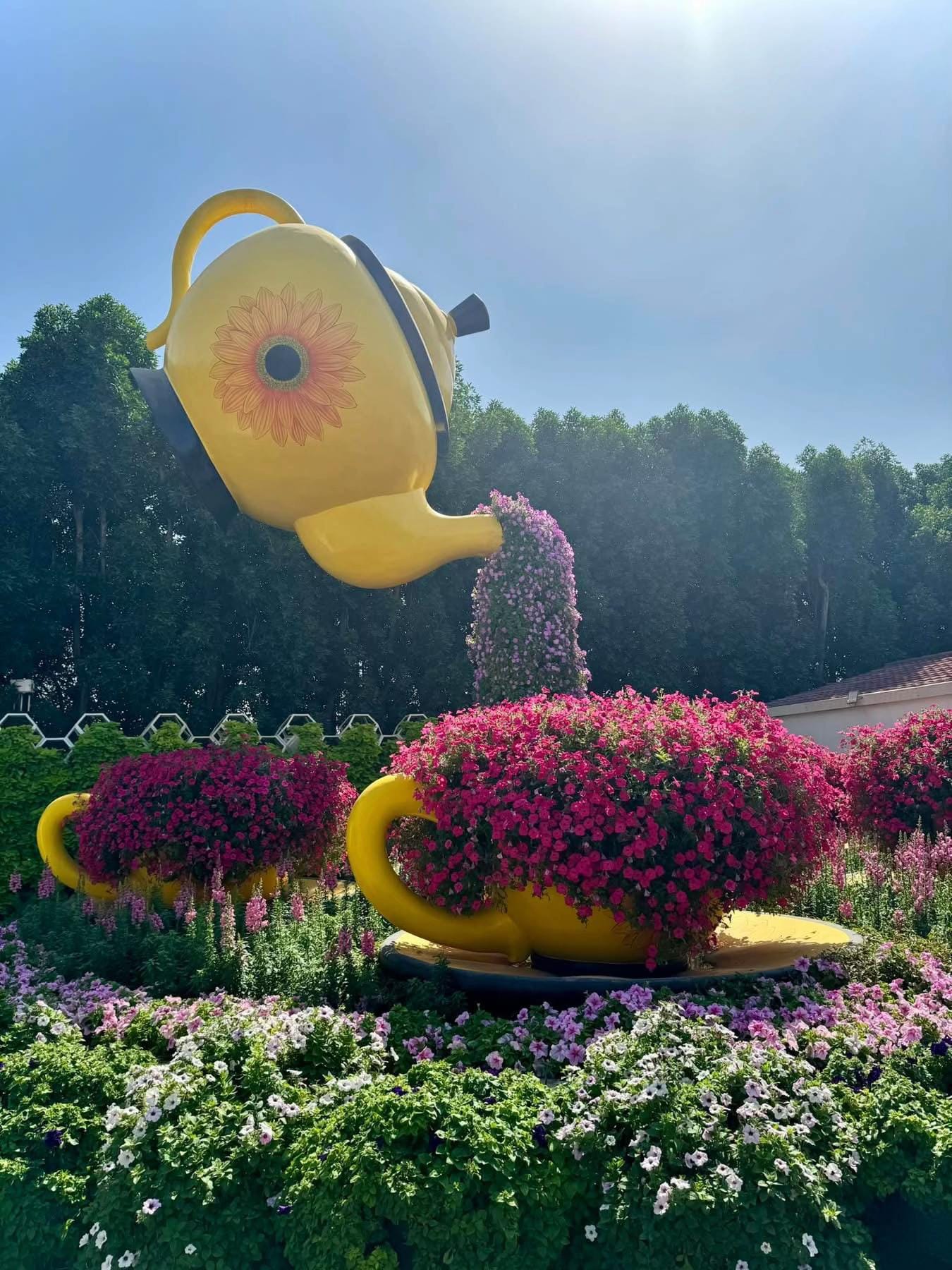 Post 3 by UAE - Information - News - Ent on TikTok (video)