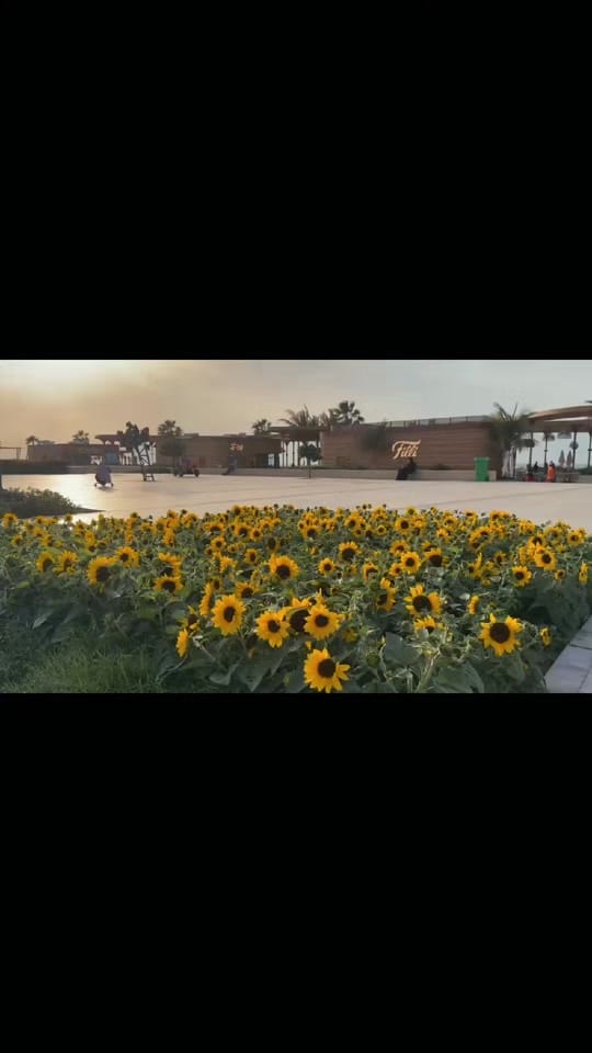Post 8 by Kalyani ambadi on TikTok (video)