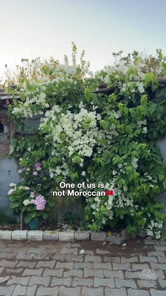 Post 5 by anouarandvanessa on TikTok (video)