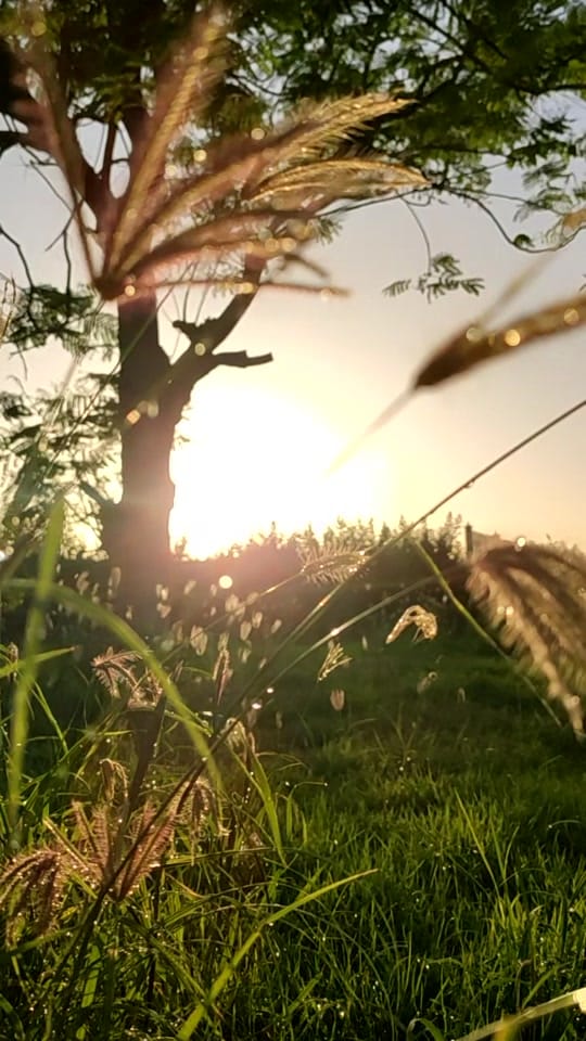 Post 5 by Ganesh manglore on TikTok (video)