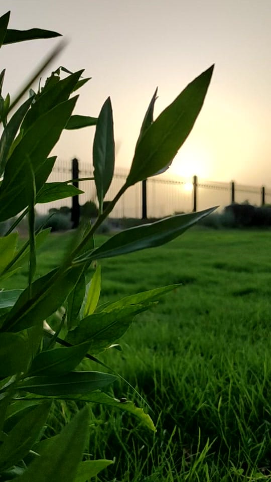 Post 8 by Ganesh manglore on TikTok (video)