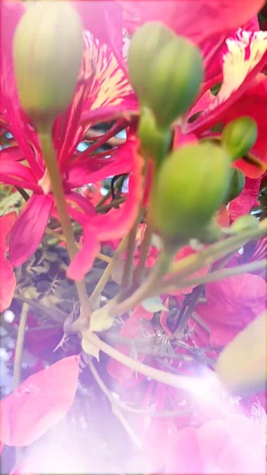 Post 4 by Ganesh manglore on TikTok (video)