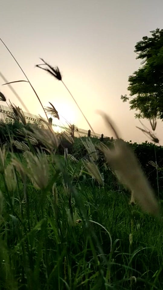 Post 9 by Ganesh manglore on TikTok (video)