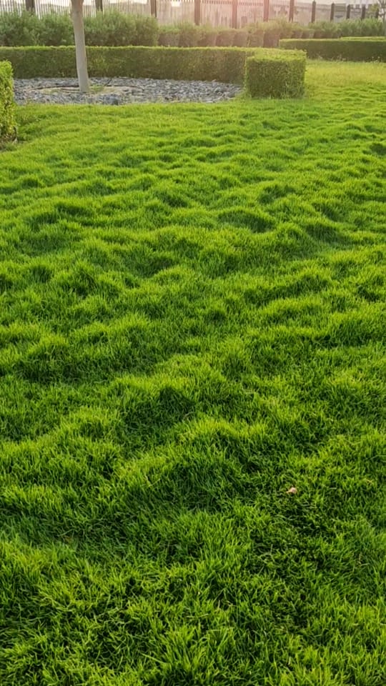 Post 7 by Ganesh manglore on TikTok (video)