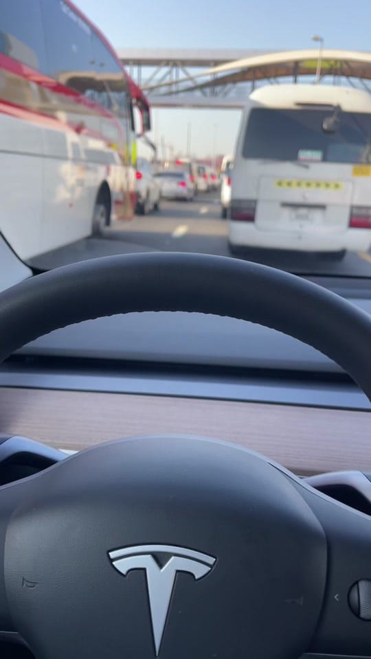 Post 1 by Ⓜ️UF💤❗️ on TikTok (video)