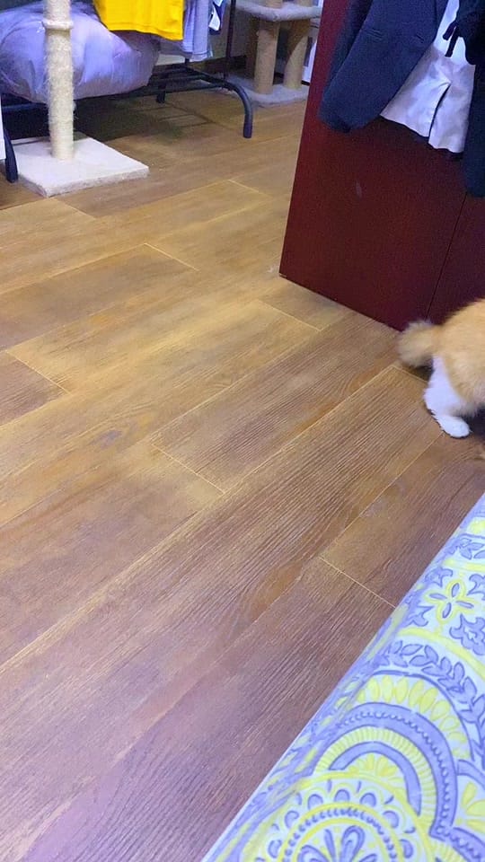 Post 3 by GUCCI on TikTok (video)