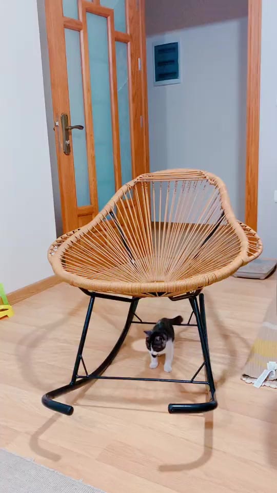Post 9 by Ghenwa Kaedbey on TikTok (video)