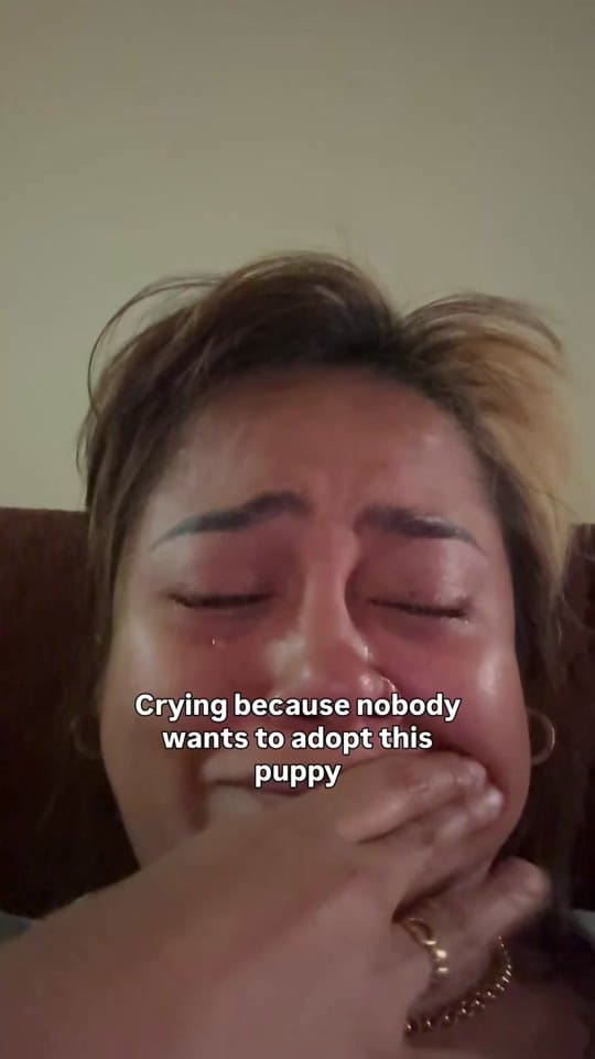 Post 2 by Querubin Llavore on TikTok (video)
