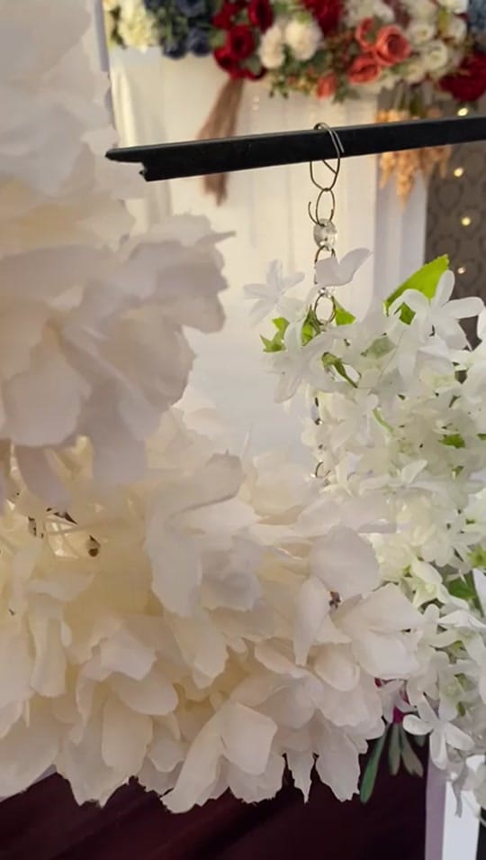 Post 1 by ♥️✨Annu_ksd🌟🥀 on TikTok (video)