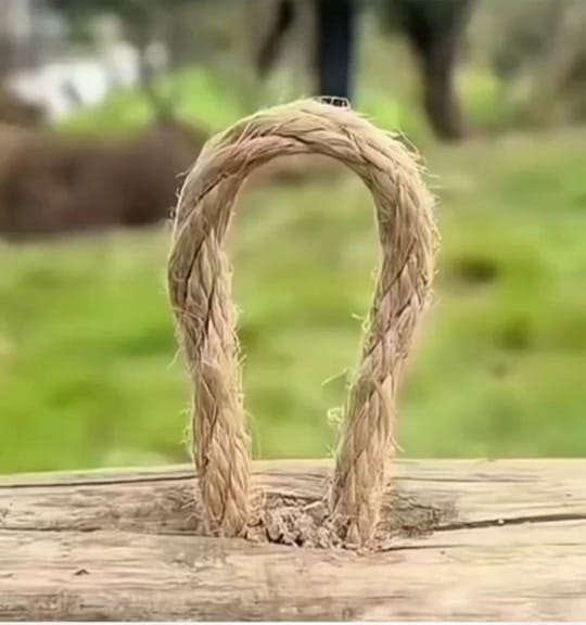 Post 5 by Yazir Hameed MC/VJ Actor on TikTok (video)