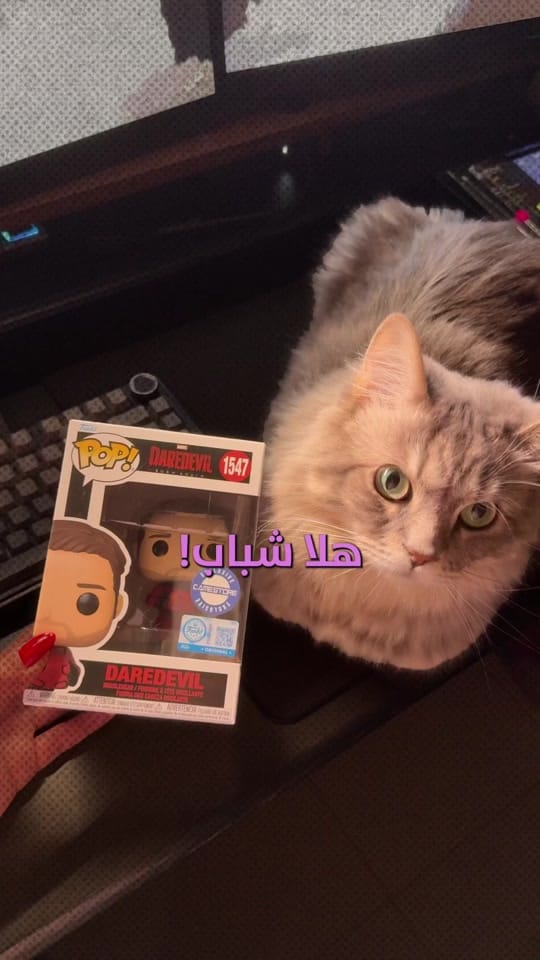 Post 6 by Lady Lillith on TikTok (video)