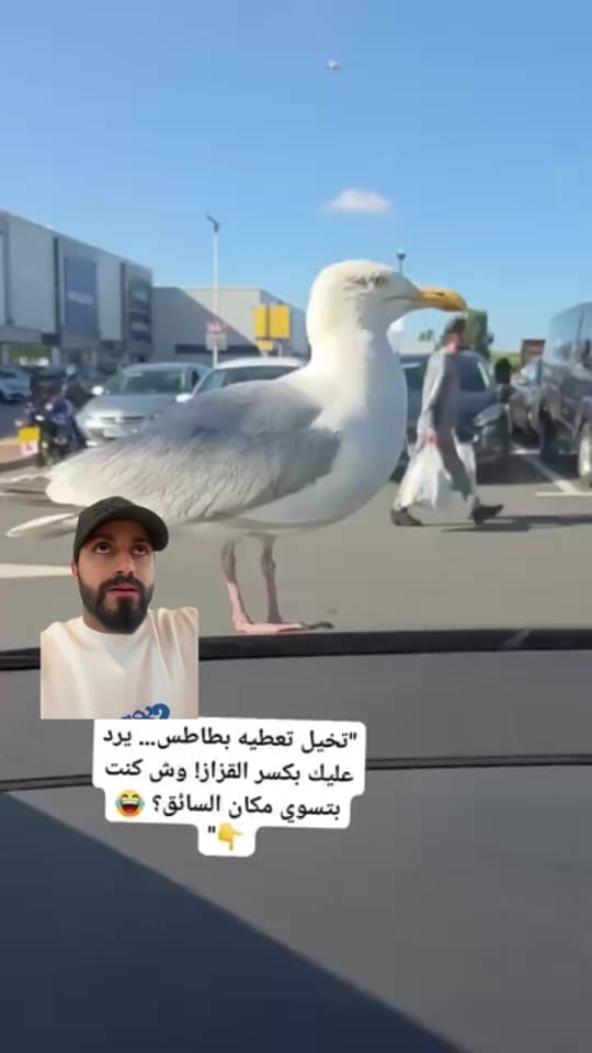 Post 8 by احمد -Ahmad hussain on TikTok (video)