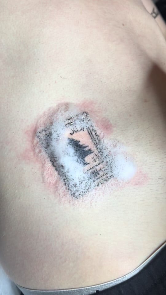 Post 3 by kinnoenvasetattoo on TikTok (video)