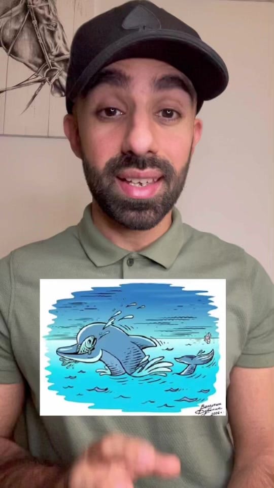 Post 6 by iamshahinz on TikTok (video)