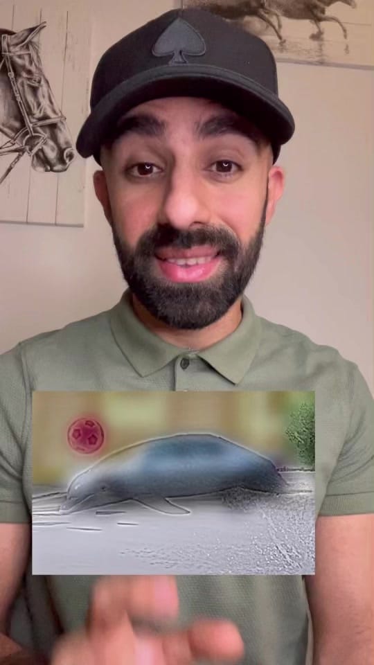 Post 9 by iamshahinz on TikTok (video)
