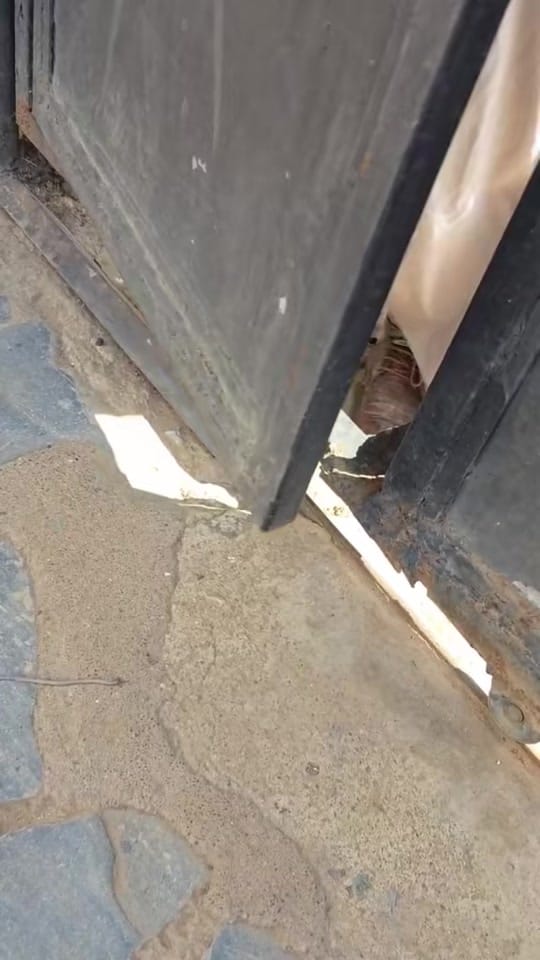 Post 5 by Jay Simps Jokes on TikTok (video)