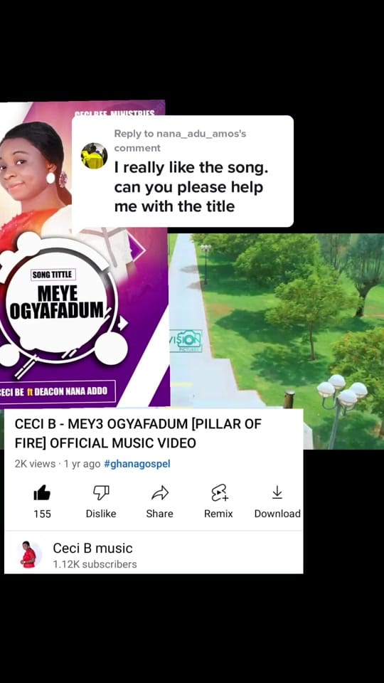 Post 6 by ( Ceci Bee Music on TikTok (video)